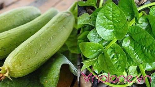 ăn rau gì tốt cho sinh lý nam mướp và mồng tơi