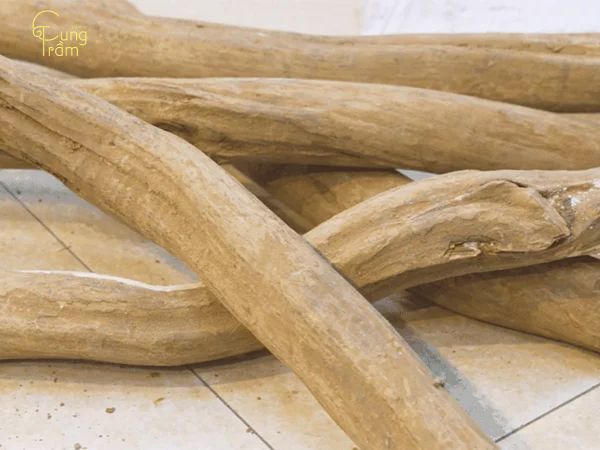 Đặc điểm của gỗ đàn hương xanh