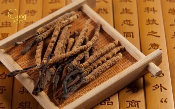 Đông trùng hạ thảo