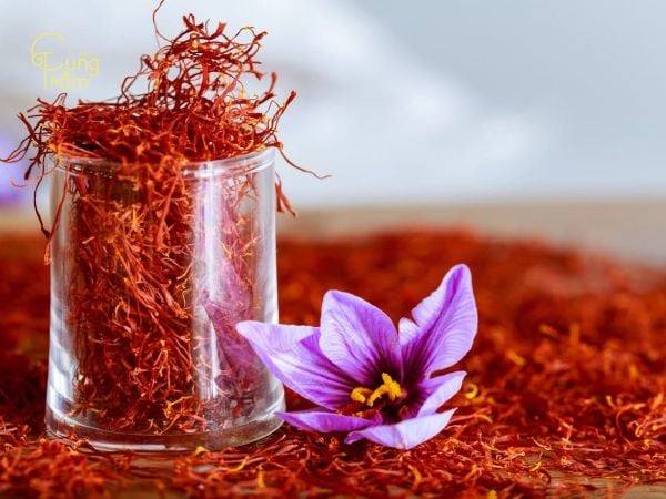 Nhụy hoa nghệ tây (Saffron)