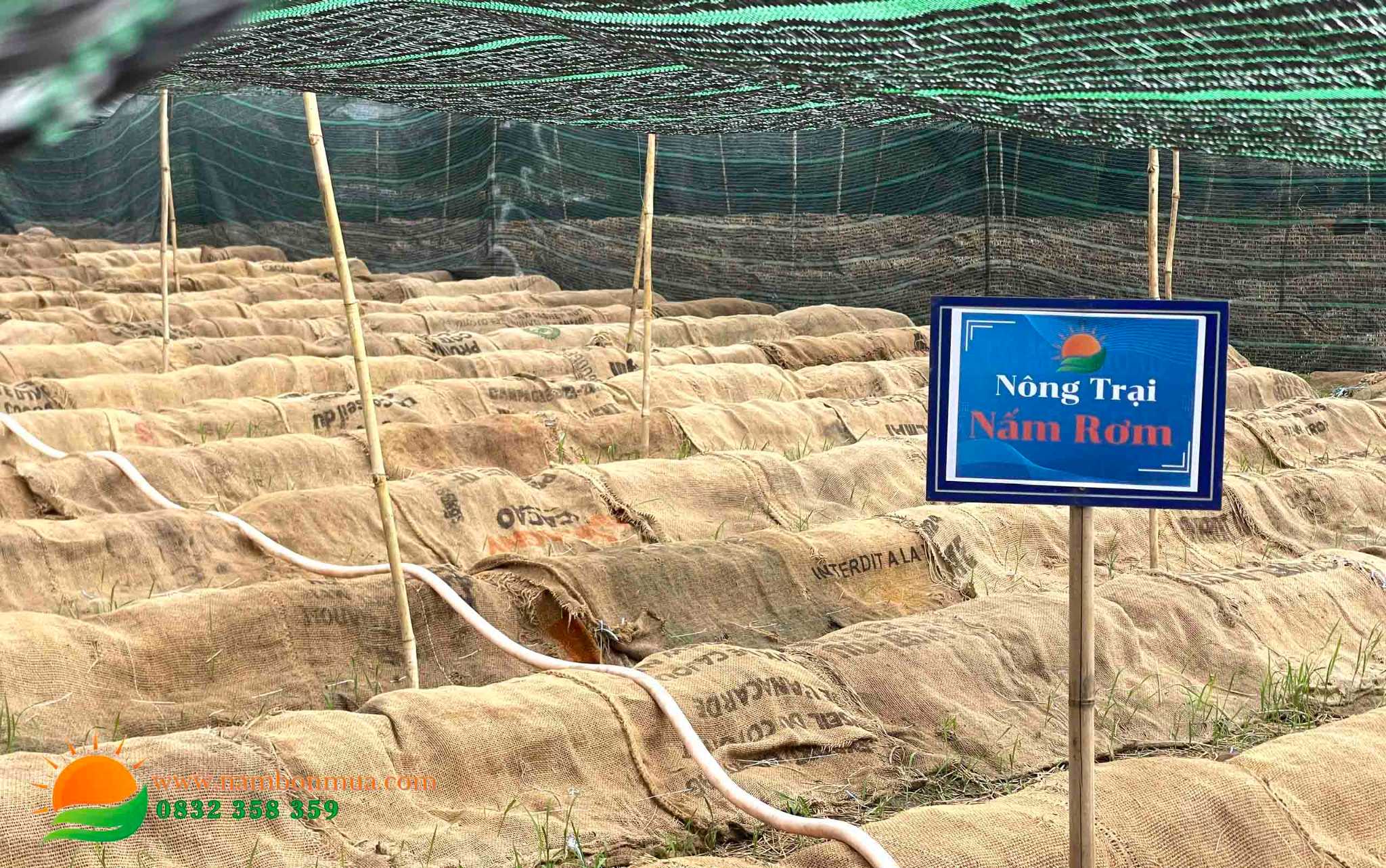 Ky thuat trong nam Rom mau den va mau trang.