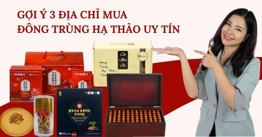 Địa chỉ mua Đông Trùng Hạ Thảo uy tín