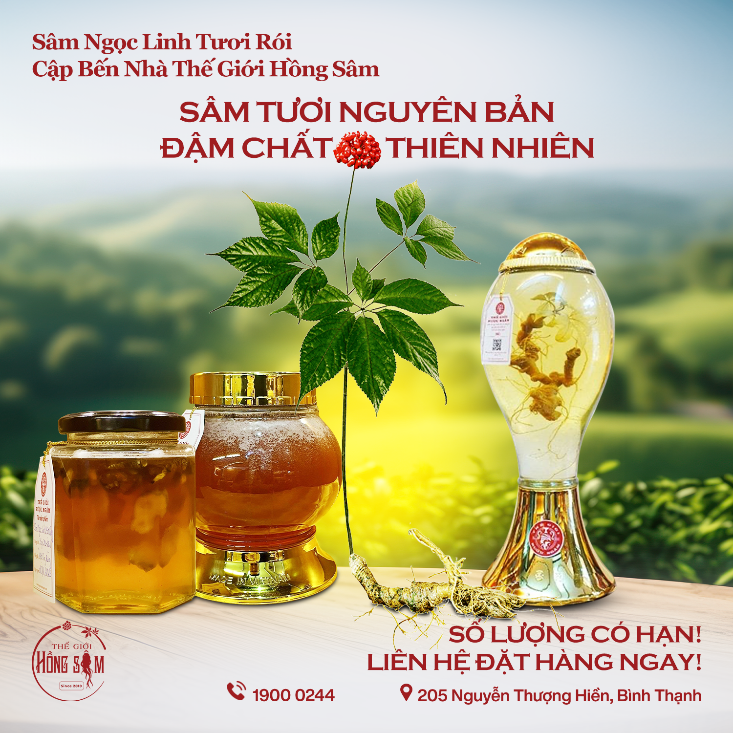 Sâm Ngọc Linh tại Thế Giới Hồng Sâm