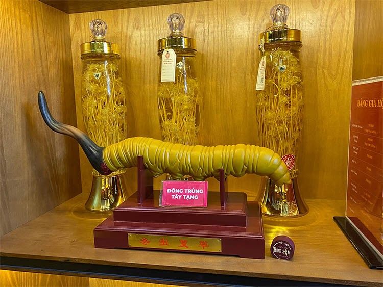 Lựa chọn địa chỉ uy tín để mua được sản phẩm chất lượng