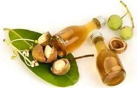 Công dụng của dầu mù u với sức khỏe