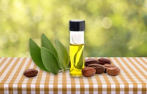 Công dụng của dầu mù u trong làm đẹp