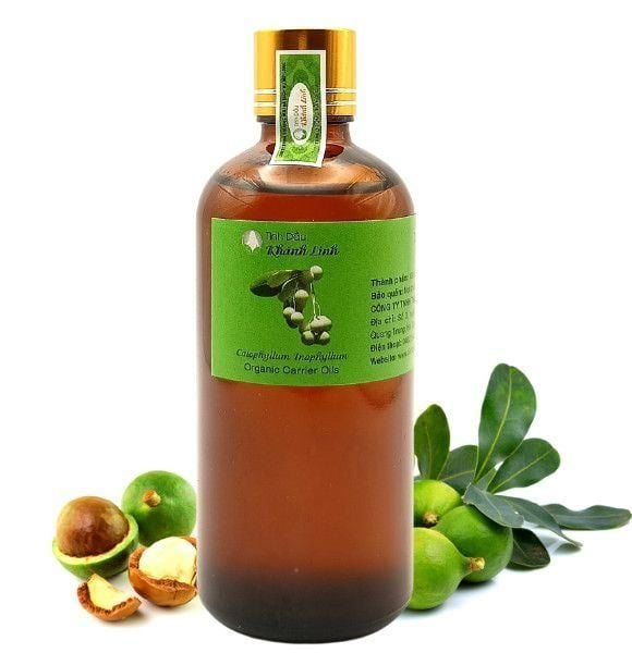 Dầu mù u hỗ trợ chăm sóc và bảo vệ da