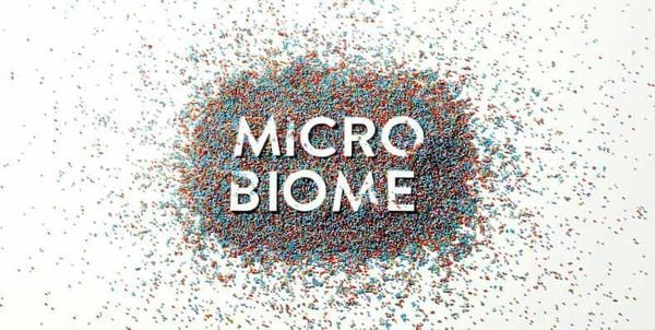 Khái niệm về hệ vi sinh vật da (skin microbiome)
