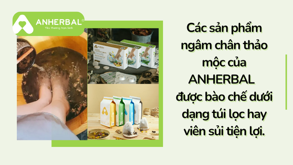 thao moc ngam chan ANHERBAL