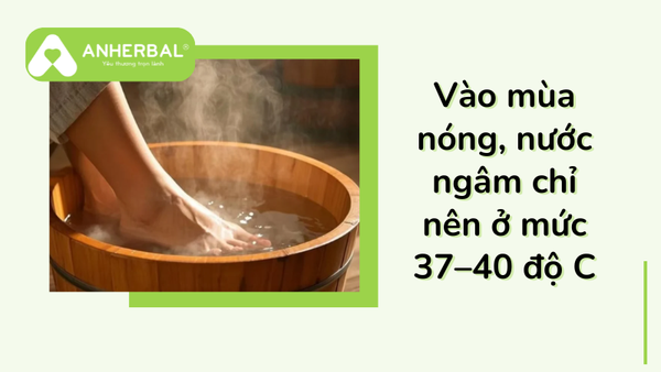 nhiet do nuoc ngam chan