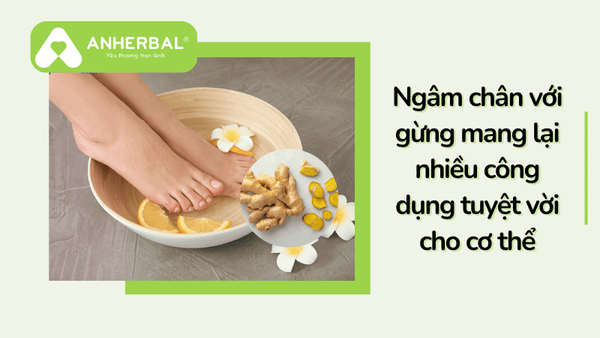 ngam chan voi gung mang lai nhieu cong dung cho suc khoe