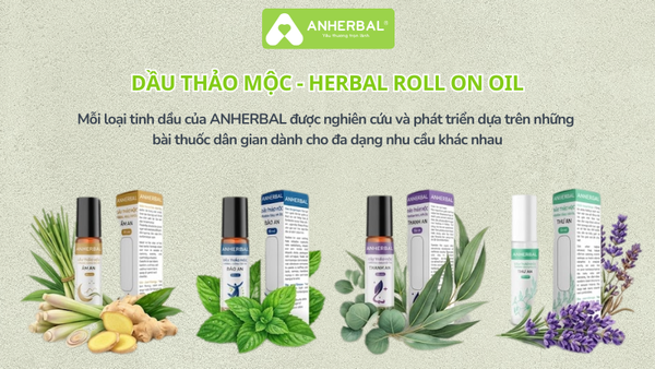 dau lan thao moc anherbal