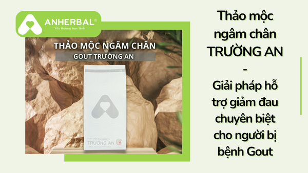thảo mộc ngâm chân trường an
