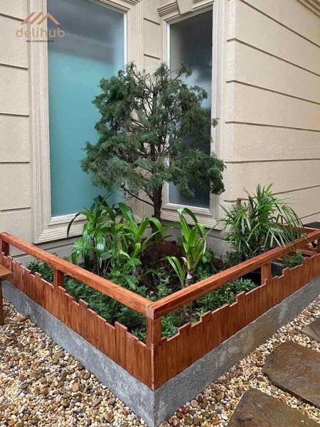 sơn hiệu ứng Stucco