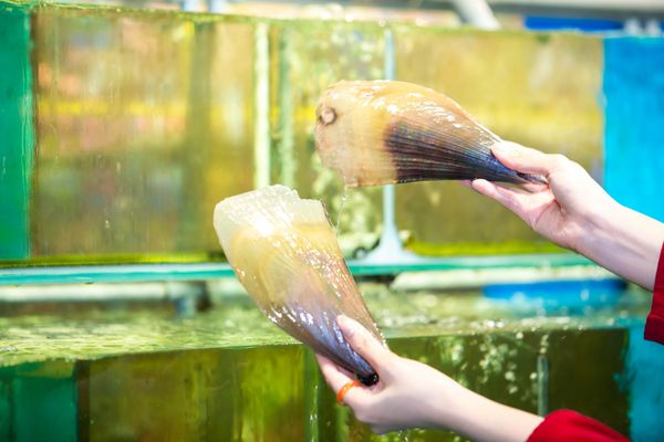 Hồ hải sản tươi sống chất lượng cao ngay khuôn viên nhà hàng