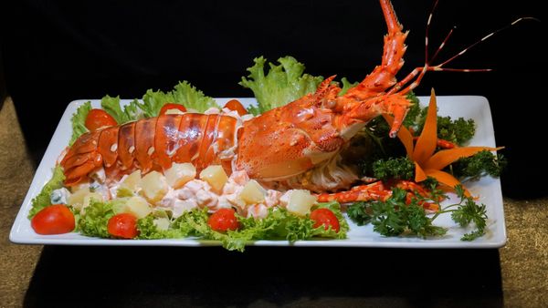 A Complete Culinary Experience at Dai Viet