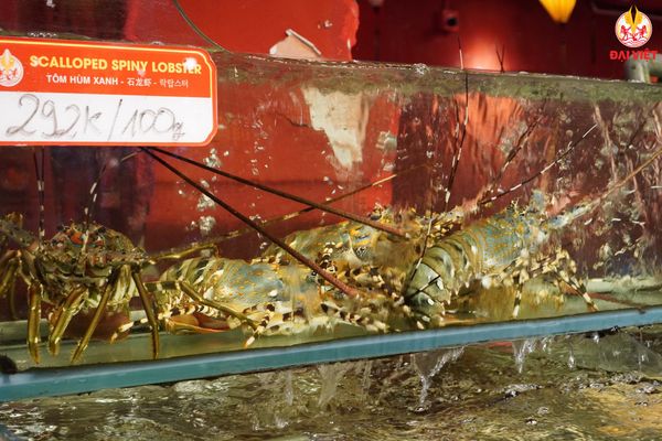 Hồ hải sản tươi sống trong khuôn viên nhà hàng