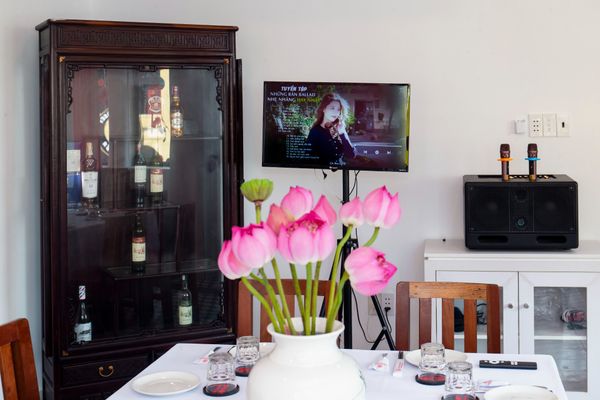 The karaoke system at Dai Viet restaurant is modern and has an unlimited music library