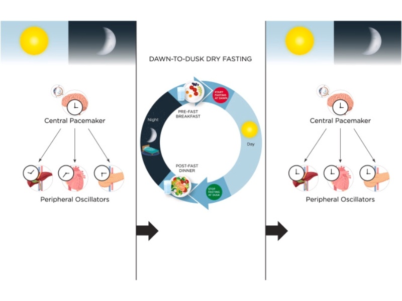Dry Fasting là gì? Lợi ích và rủi ro khi nhịn ăn không nước