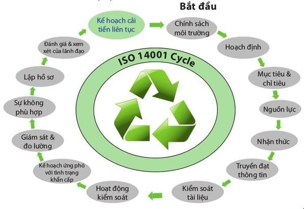 Quy trình audit tiêu chuẩn ISO