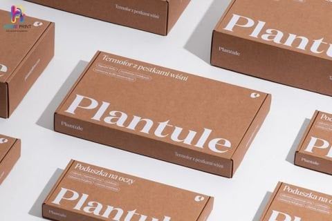 Xưởng in ấn hộp giấy