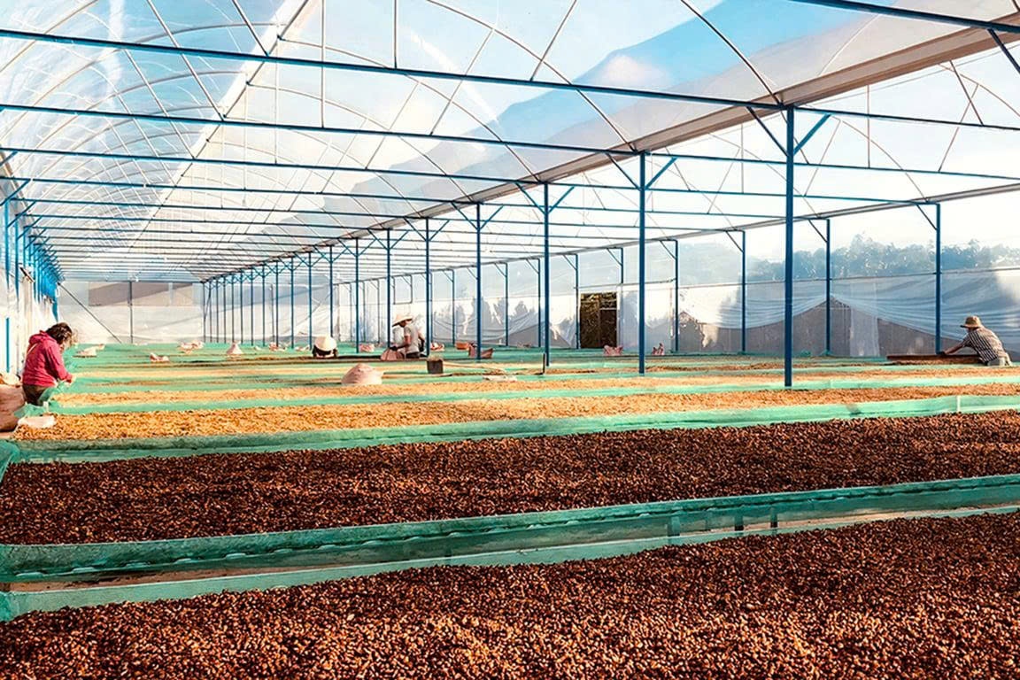 Tiêu chí #3: Phương pháp chế biến (Processing Method) – Định hình hương vị cà phê