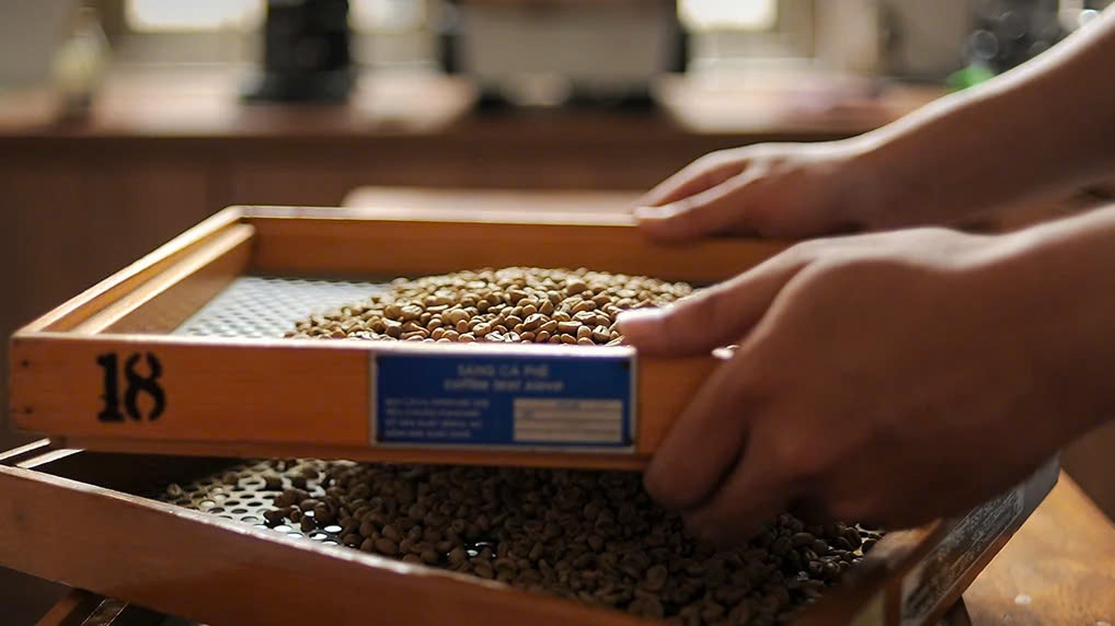 Sai lầm #2: Không quan tâm đến ngày rang (Roast Date)