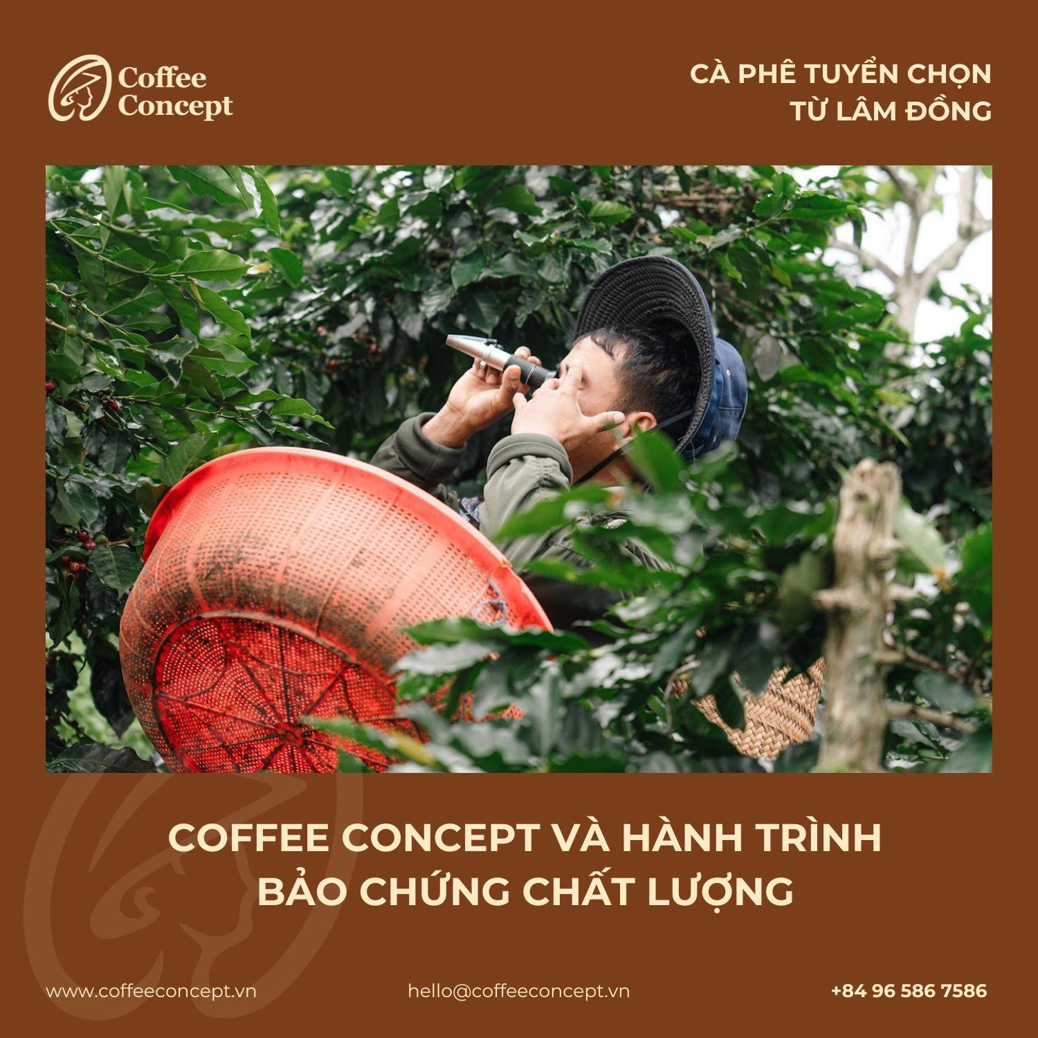 Coffee Concept – Đồng hành cùng bạn chọn cà phê chuẩn vị