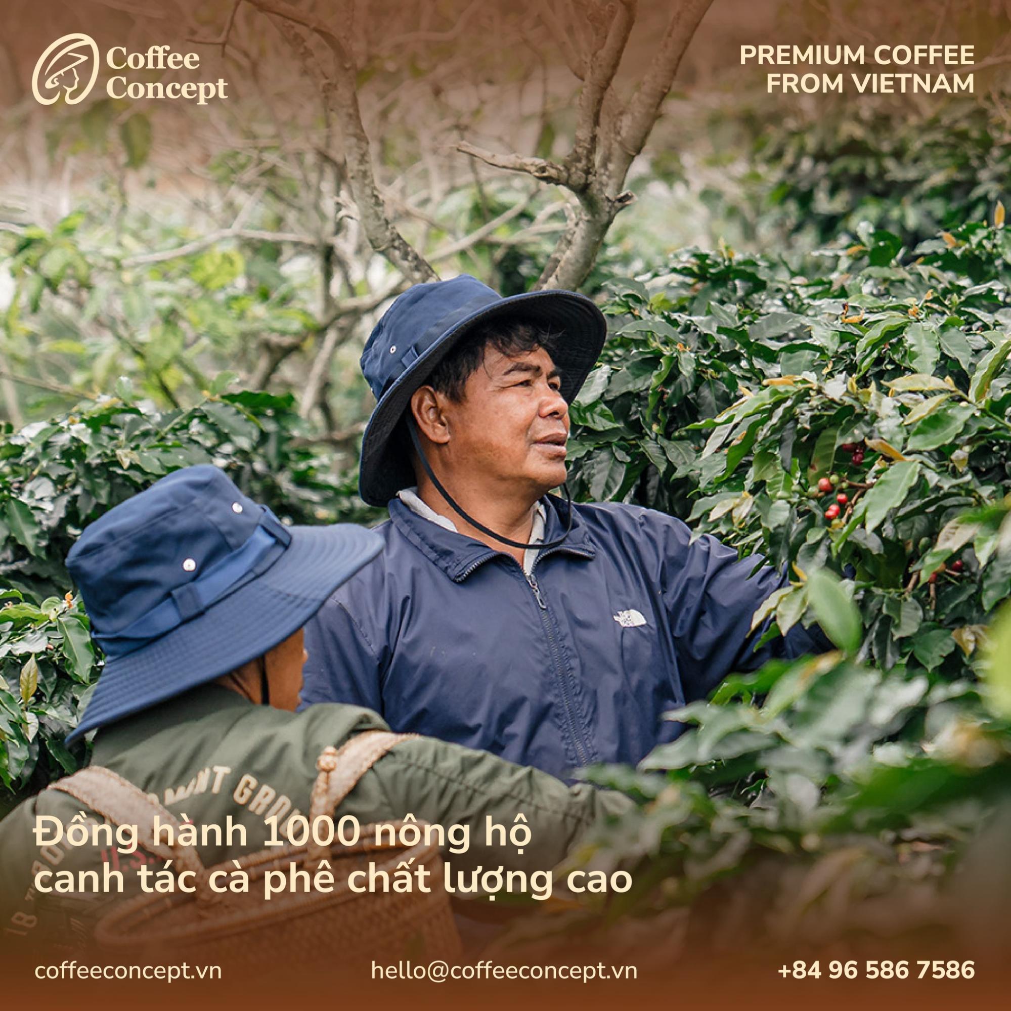 Coffee Concept – Đồng hành cùng bạn chọn cà phê chuẩn vị