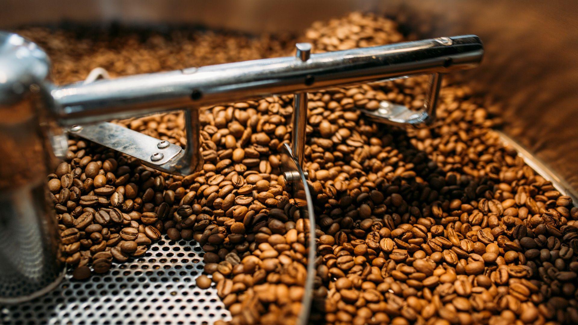 Cách Kiểm Tra & Nhận Biết Cà Phê Tươi Mới – Bí Quyết Chọn Đúng Cà Phê Rang Chuẩn