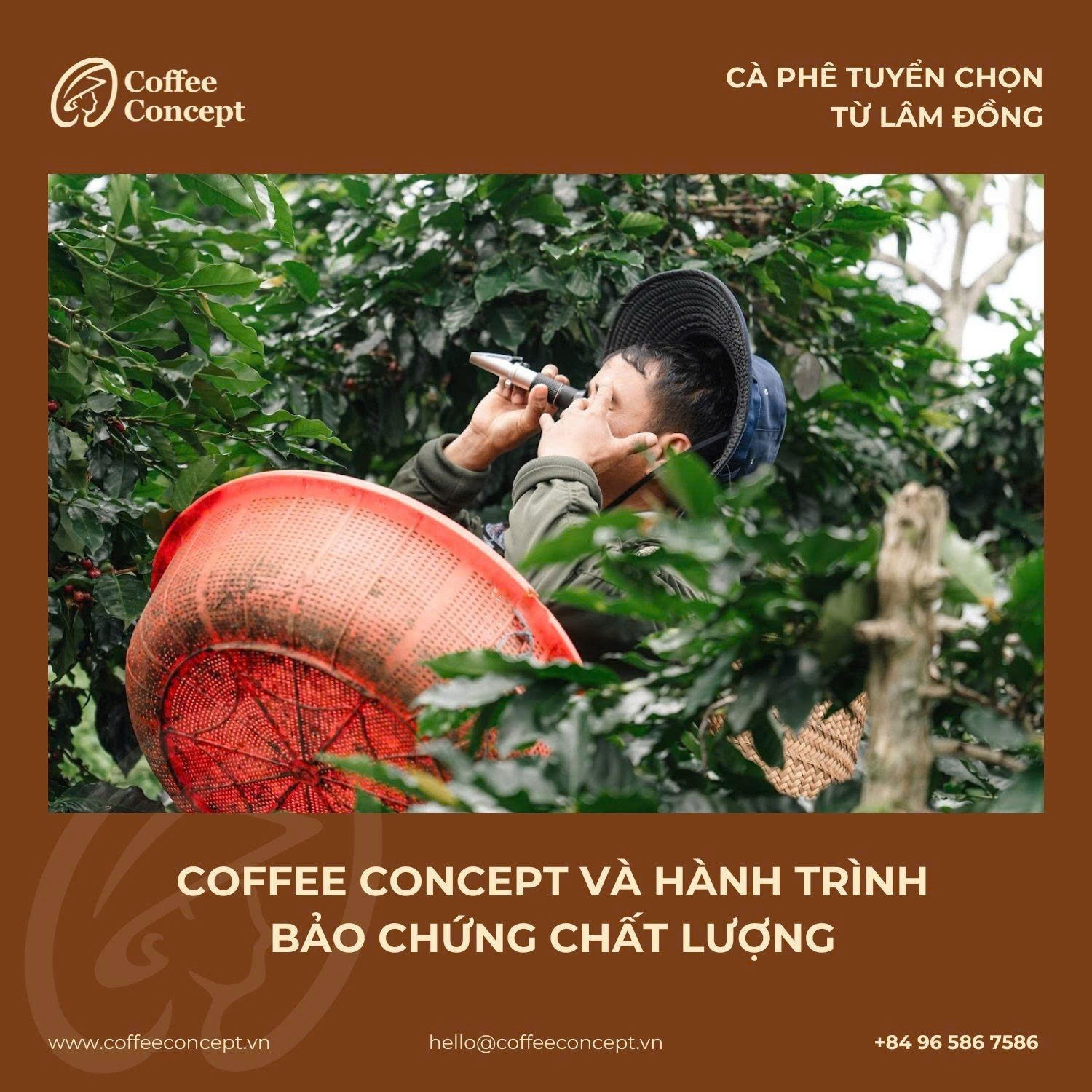 Phân loại theo giống & chất lượng hạt
