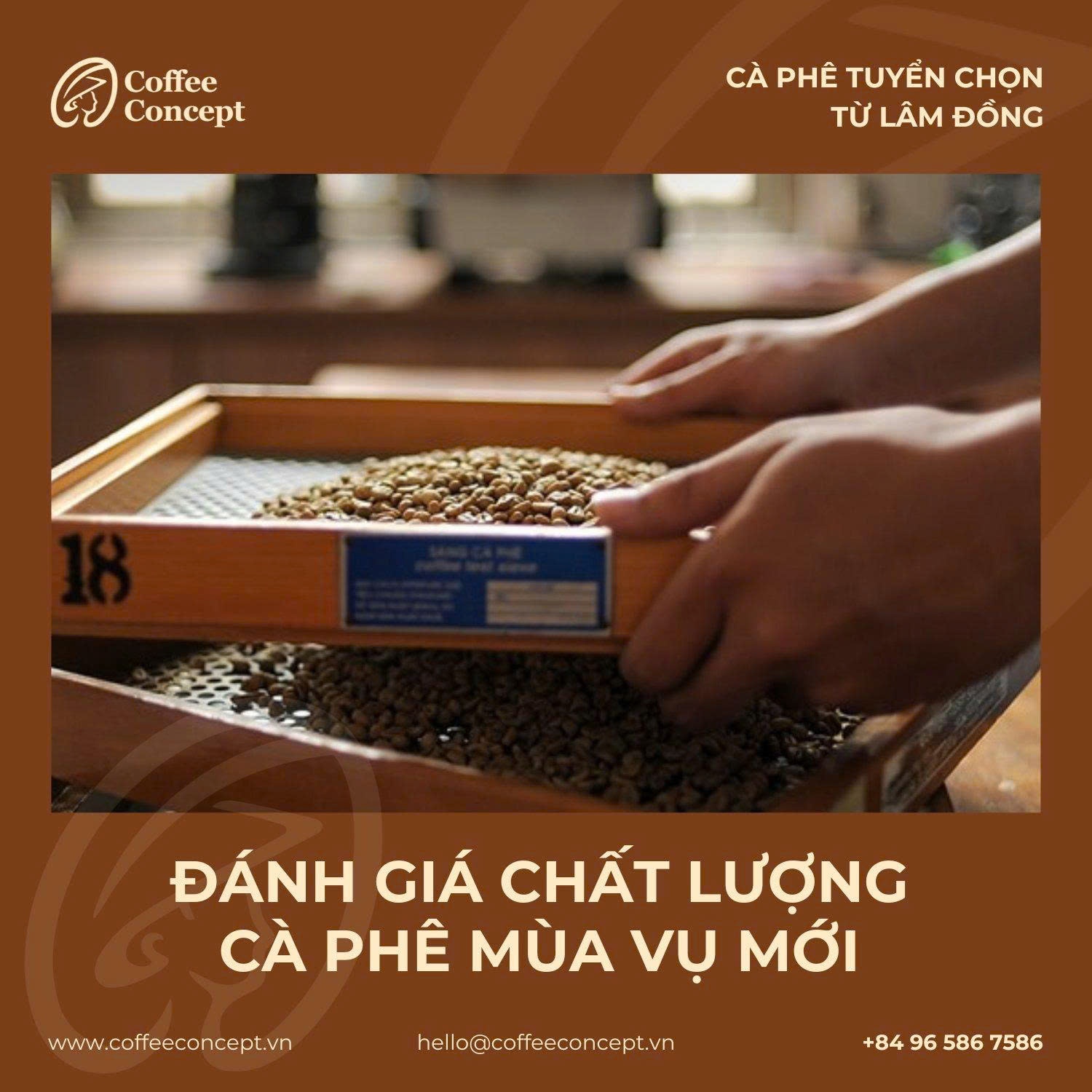 Coffee Concept – Đối tác đồng hành cùng quán trong kiểm soát chất lượng cà phê
