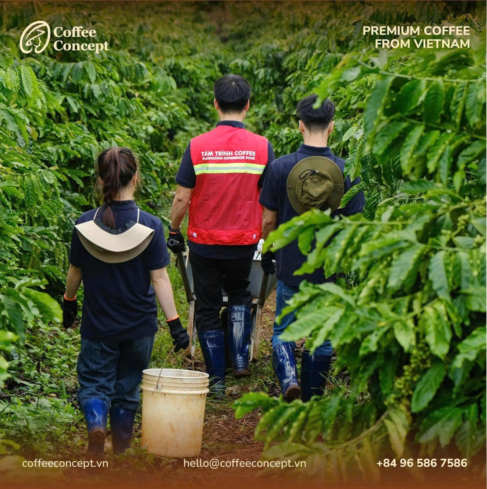 Cách đánh giá và lựa chọn nhà cung cấp cà phê mới