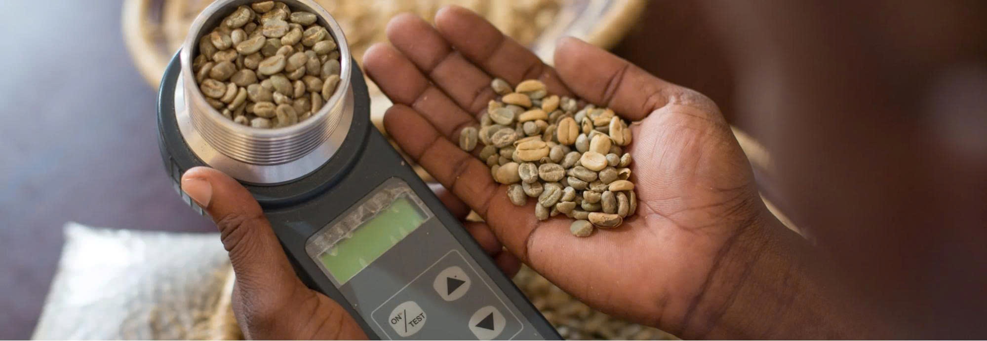 Các Công Nghệ Mới (AI & Gia Nhiệt Điện) Ảnh Hưởng Thế Nào Đến Xưởng Rang Cà Phê Chất Lượng Cao