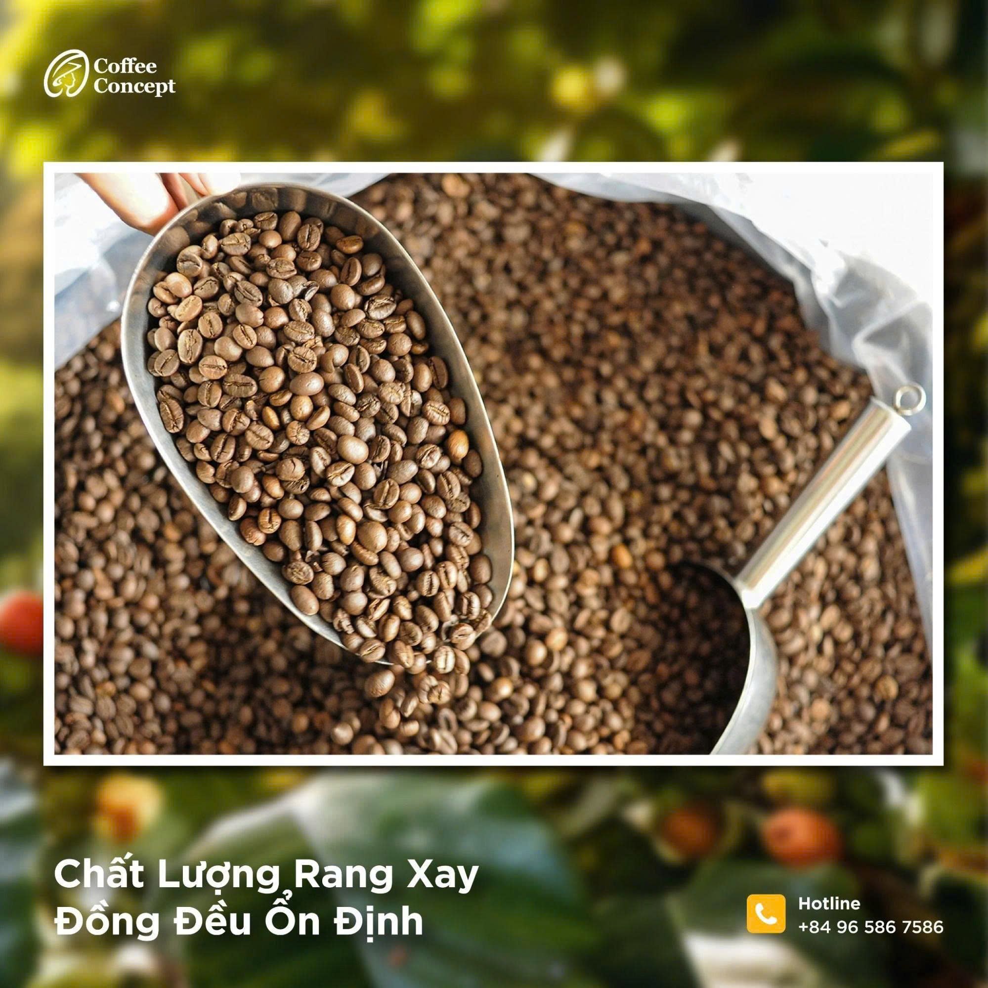 Coffee Concept – Đối tác OEM đồng hành cùng thương hiệu cà phê mới