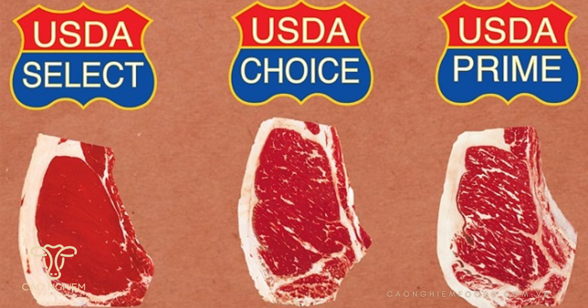 Tiêu chuẩn thịt bò USDA