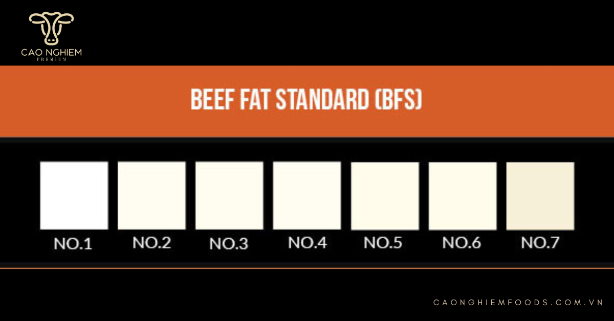 Màu sắc, độ bóng và chất lượng của mỡ (Beef Fat Standard - BFS)