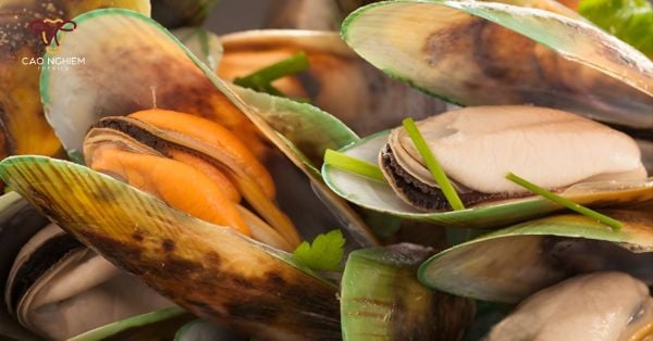 Các món thanh đạm từ Vẹm xanh New Zealand