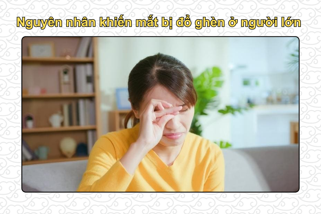 nguyen-nhan-khien-mat-bi-do-ghen-o-nguoi-lon