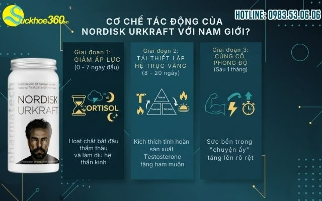 Cơ chế tác động của Nordisk Urkraft với nam giới?