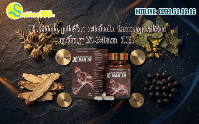 Thành phần chính trong viên uống X-Man 1H