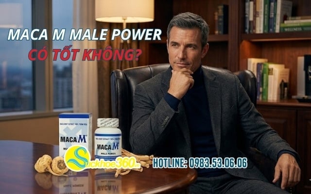 Maca M Male Power có tốt không? Phân tích thành phần và cơ chế tác động