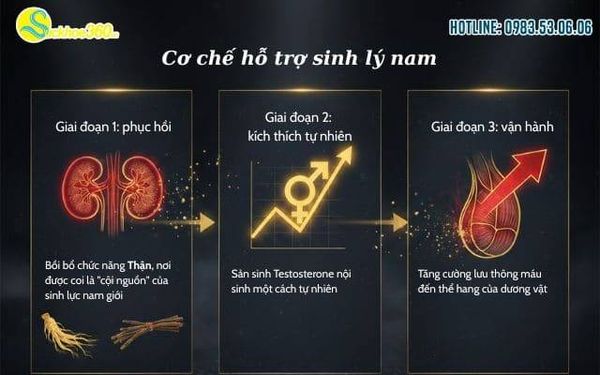 Men Gisen thuộc nhóm thực phẩm bảo vệ sức khỏe