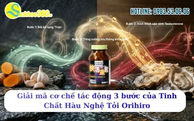 Giải mã cơ chế tác động 3 bước của Tinh Chất Hàu Nghệ Tỏi Orihiro