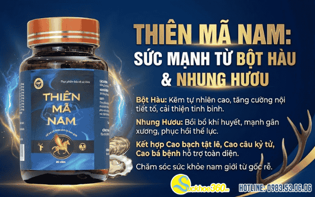 Phân tích thành phần bột hàu và nhung hươu có trong Thiên Mã Nam