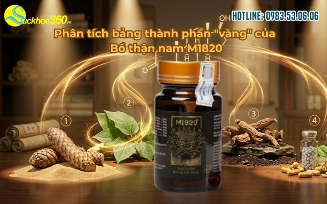 Phân tích bảng thành phần