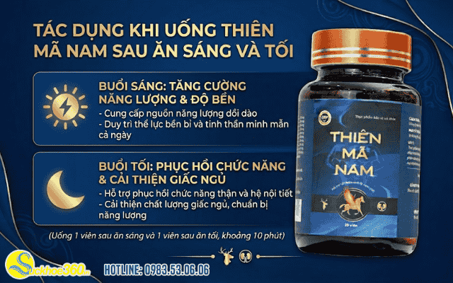 Uống Thiên mã nam sau ăn sáng và tối có tác dụng gì?