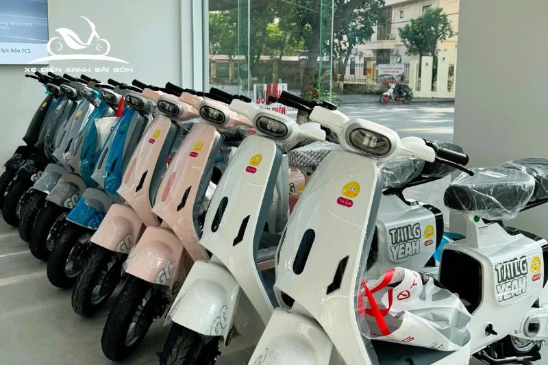 Xe đạp điện TAILG GR55