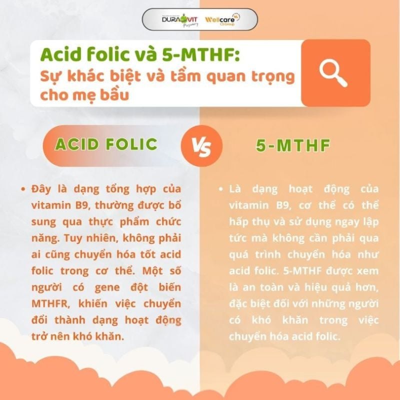 nhathuocvietnhat.vn - Sự khác biệt giữa acid folic và 5 MTHF