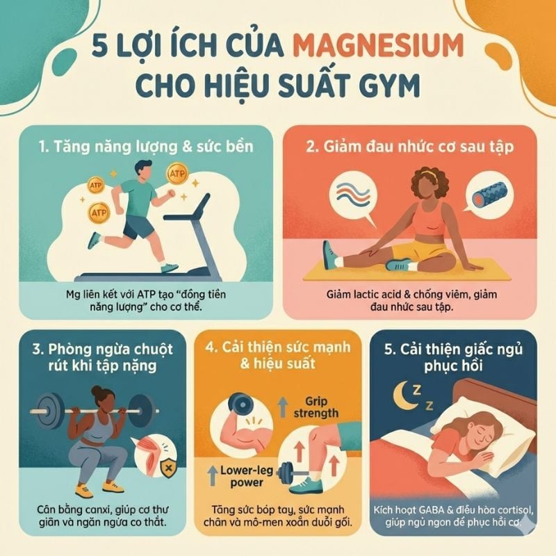 nhathuocvietnhat.vn - Lợi ích của Magnesium cho hiệu suất tập luyện